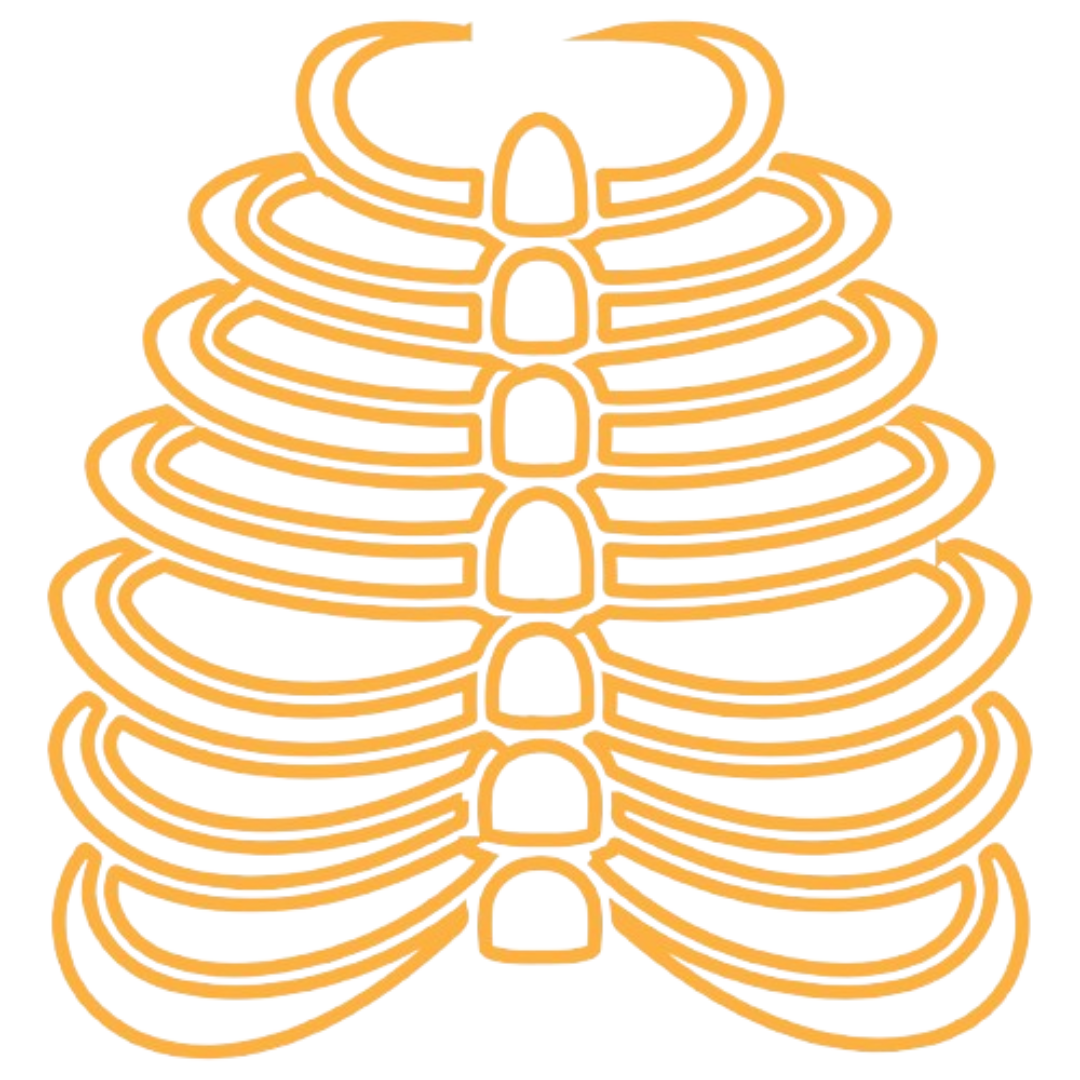 Chirurgie thoracique